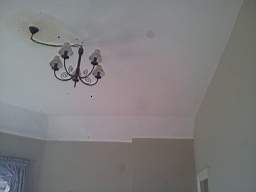 fkillineybeforeinternal 1595.jpg